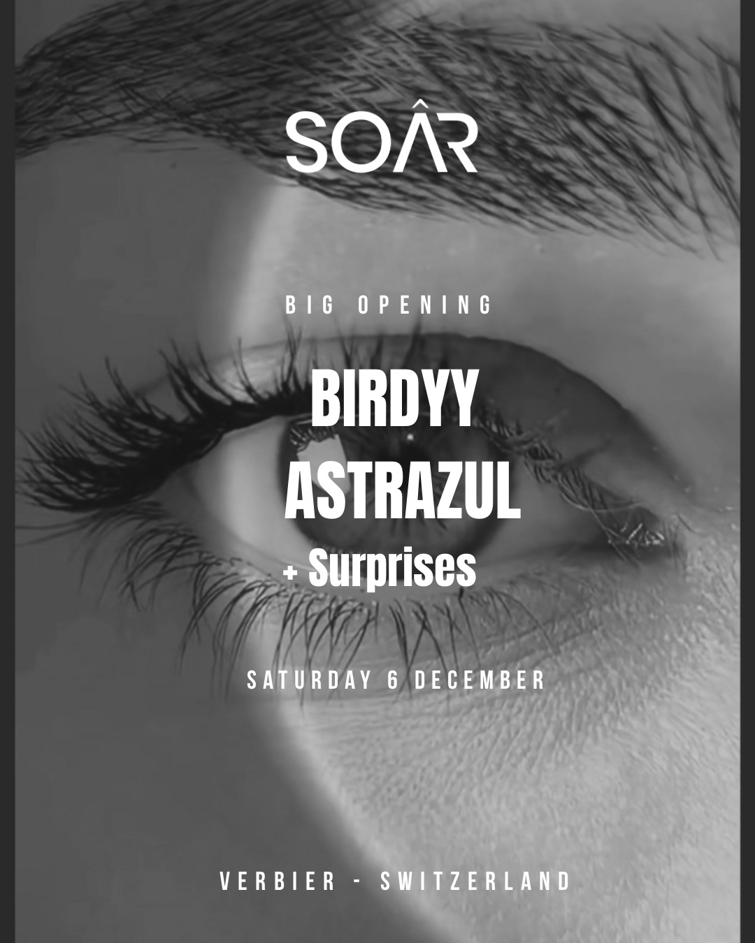 Soarverbier Birdyy Astrazul 6-12